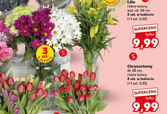 Chryzantemy dł. 50cm promocja w Kaufland