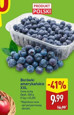 Borówki amerykańskie XXL promocja w Aldi