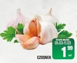 Czosnek promocja w Tomi Markt