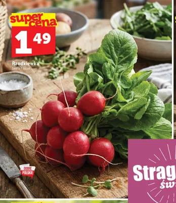 Rzodkiewka promocja w TOPAZ