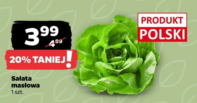 Sałata masłowa polska Netto promocja w Netto