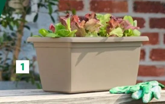 Skrzynka na kwiaty długość: 40 cm promocja w Lidl