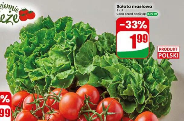 Sałata masłowa promocja w Dino