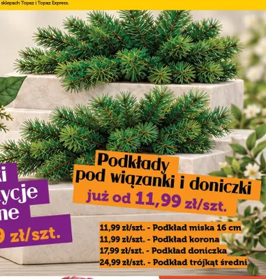 Podkład korona promocja w TOPAZ