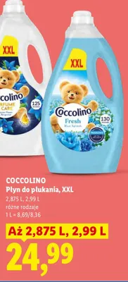 Płyn do płukania Coccolino Fresh Blue Splash XXL promocja w Lidl