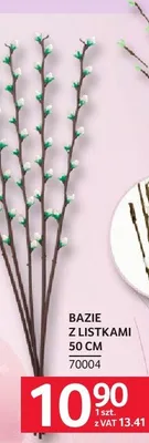 Bazie z listkami 50 cm promocja w Selgros