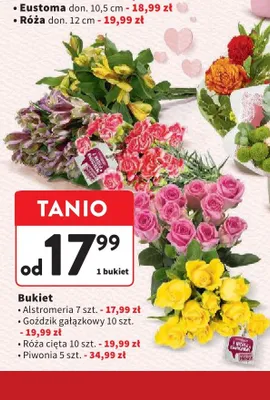 Bukiet Goździk gałązkowy 10szt. promocja w Intermarche