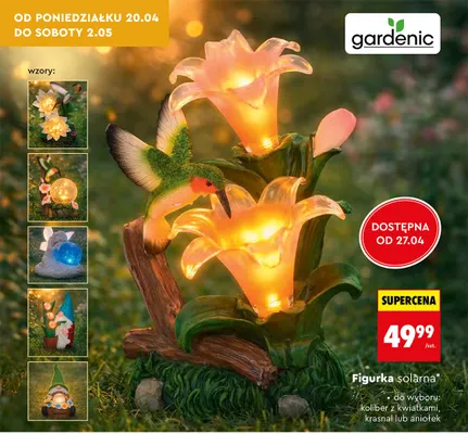 Figurka solarna koliber z kwiatami promocja w Biedronka