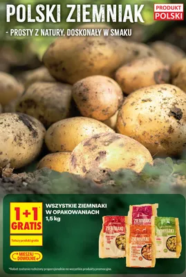 Wszystkie ziemniaki w opakowaniach 1,5kg 1+1 GRATIS promocja w Biedronka