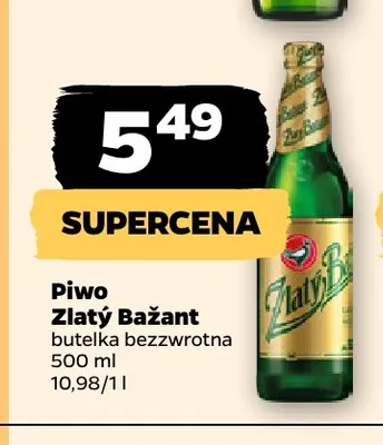 Piwo Zlatý Bažant promocja w Netto