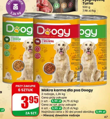 Gazetka 06 / 2026, strona 66 promocja w Dino