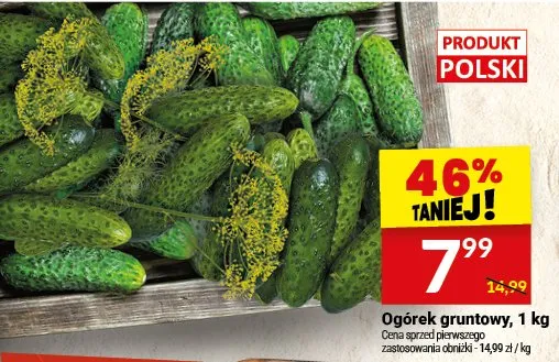 Ogórek gruntowy promocja w Twój Market