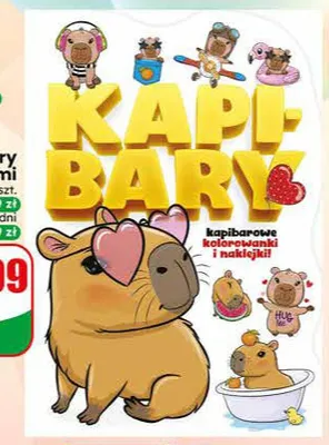 Kolorowanka kapibary z naklejkami promocja w Dino