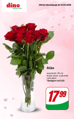 Bukiet róż - 11 szt., 40 cm promocja w Dino
