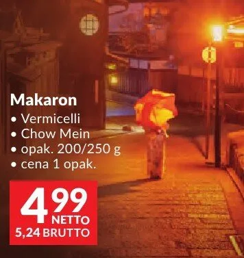 Makaron Vermicelli Chow Mein House of Asia promocja w Makro