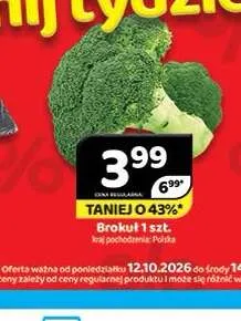 Brokuł promocja w Delfin
