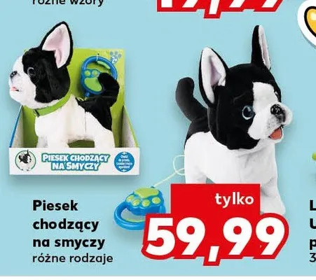 Piesek chodzący na smyczy Kaufland promocja w Kaufland