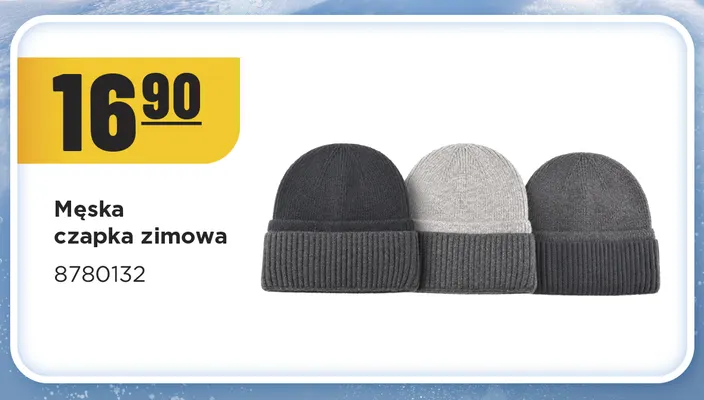 Męska czapka zimowa 8780132 promocja w MR. DIY