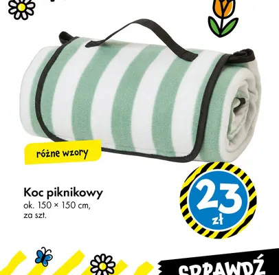 Koc piknikowy promocja w Tedi