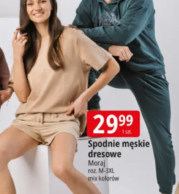 Spodnie męskie dresowe Moraj roz. M-3XL mix kolorów promocja w Leclerc