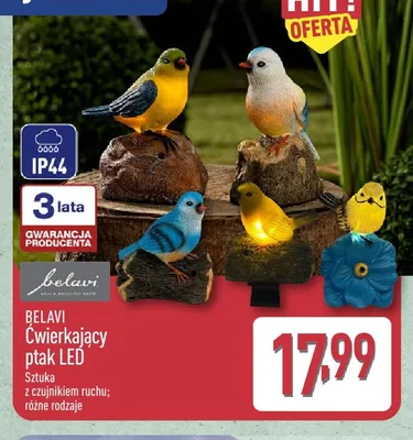 Ćwierkający ptak LED Belavi promocja w Aldi