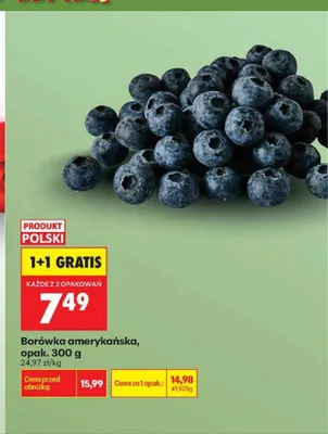 Borówka amerykańska promocja w Biedronka