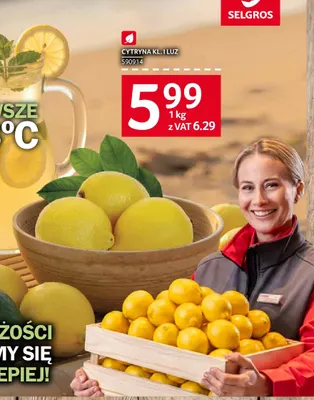 Cytryny promocja w Selgros