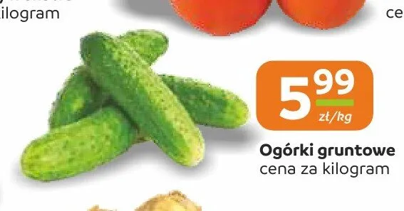 Ogórki gruntowe promocja w Społem Częstochowa