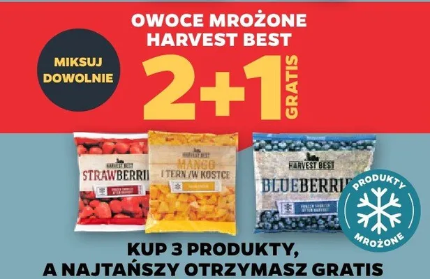 Owoce mrożone, różne rodzaje 2+1 GRATIS promocja w Netto