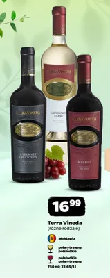 Wino Terra Vineda Merlot półwytrawne promocja w Netto