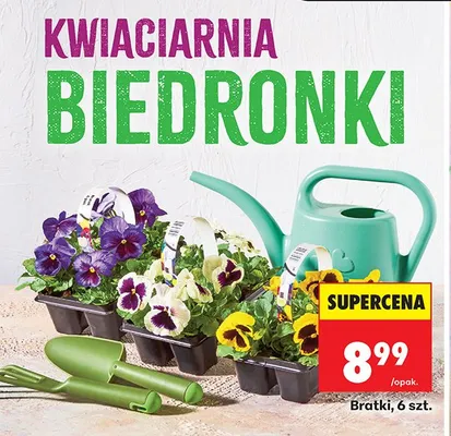 Bratki promocja w Biedronka