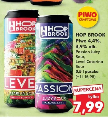 Piwo Hop Brook Passion Juicy Sour Level Catarina Sour promocja w Kaufland