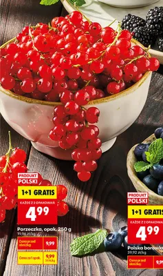 Porzeczka polska promocja w Biedronka