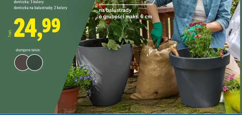 Doniczka  promocja w Lidl