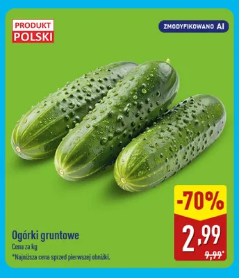 Ogórki gruntowe promocja w Aldi