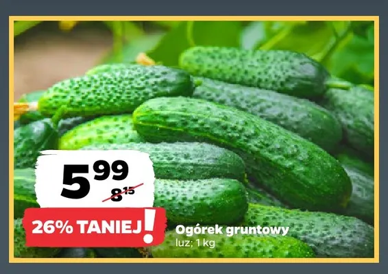 Ogórki gruntowe promocja w Netto