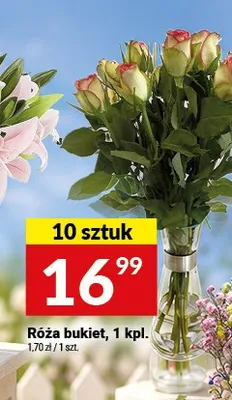Róża bukiet promocja w Twój Market