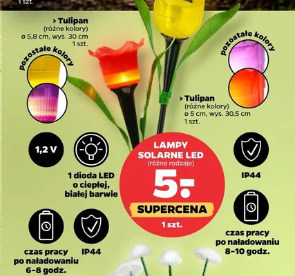 Lampa solarna LED Tulipan 5,8cm wys. 30cm promocja w Netto