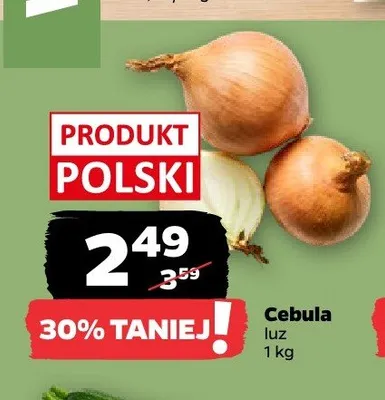 Cebula promocja w Netto