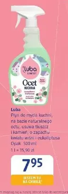 Płyn do mycia kuchni na bazie naturalnego octu o zapachu kwiatu wiśni i eukaliptusa Luba promocja w Drogerie DM
