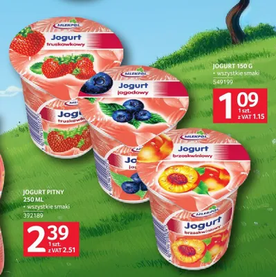 Jogurt owocowy Mlekpol truskawkowy promocja w Selgros