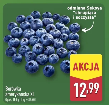 Borówka amerykańska XL promocja w Aldi