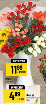 Narcyz średnica doniczki: 7 cm promocja w POLOmarket