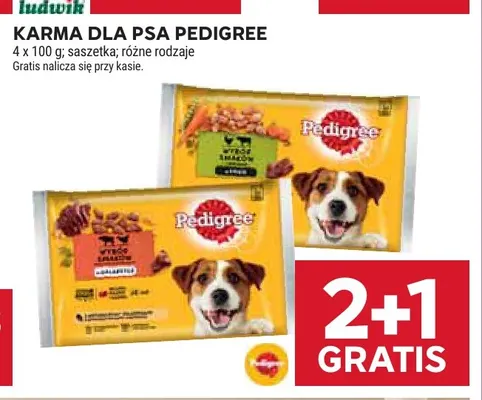 Karma dla psa Pedigree 4-pak 100 g promocja w Stokrotka