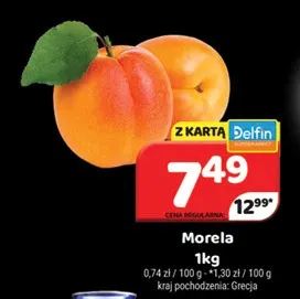 Morele promocja w Delfin
