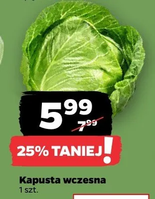 Kapusta wczesna promocja w Netto
