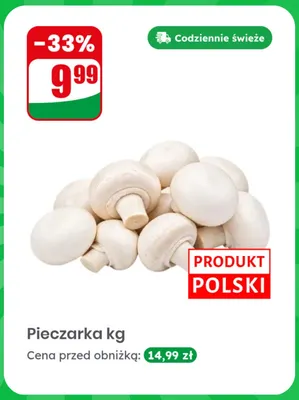Pieczarka Dino promocja w Dino