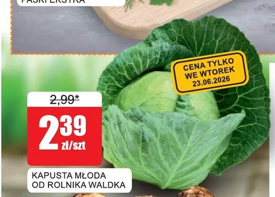Kapusta młoda od rolnika Waldka promocja w Bingo