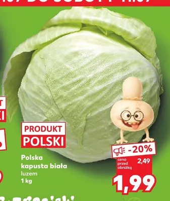 Kapusta biała polska promocja w Kaufland