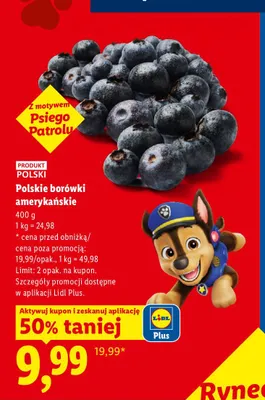 Borówki amerykańskie Ryneczek Lidla polskie promocja w Lidl